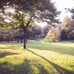 Parc de Procé